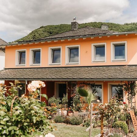 Wein- Und Gaestehaus Schwaab&Sohn Erden 外观 照片