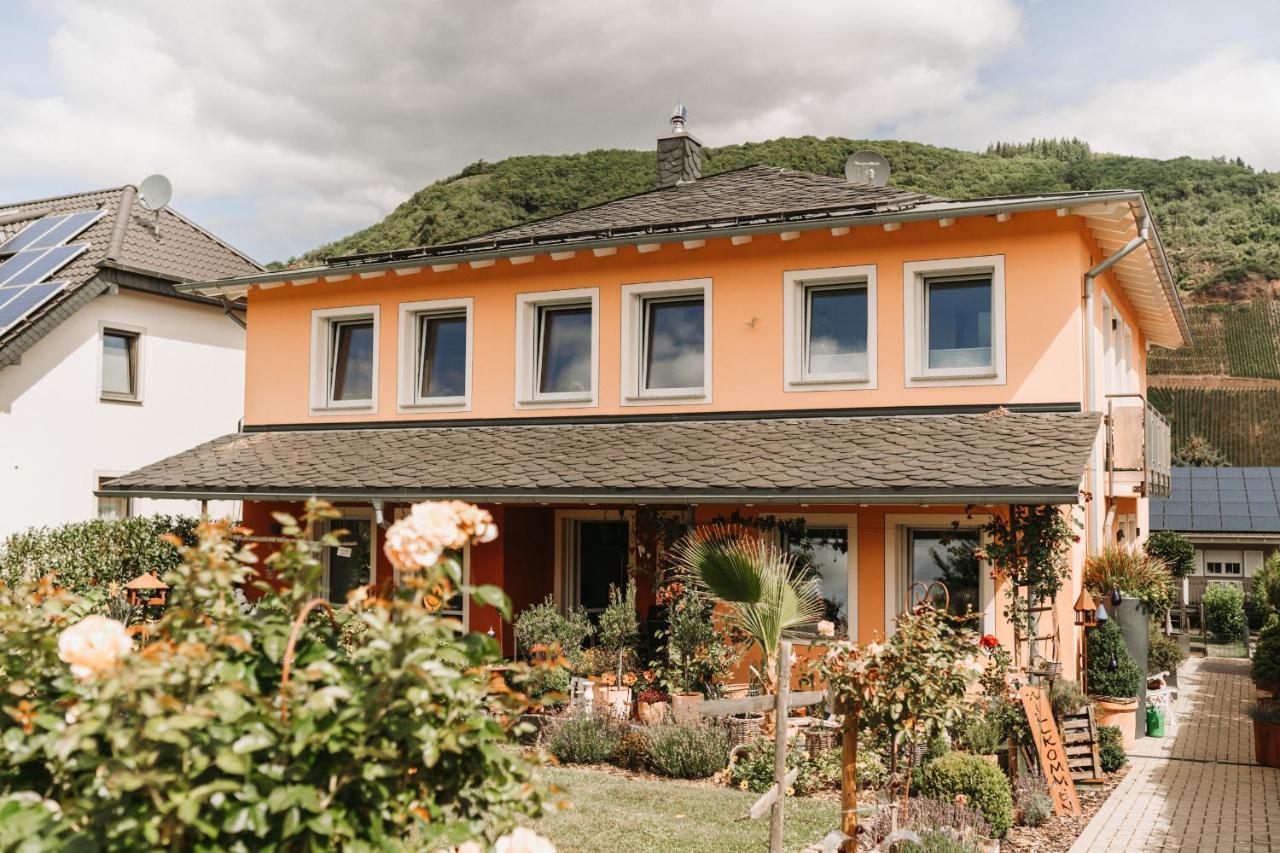 Wein- Und Gaestehaus Schwaab&Sohn Erden 外观 照片