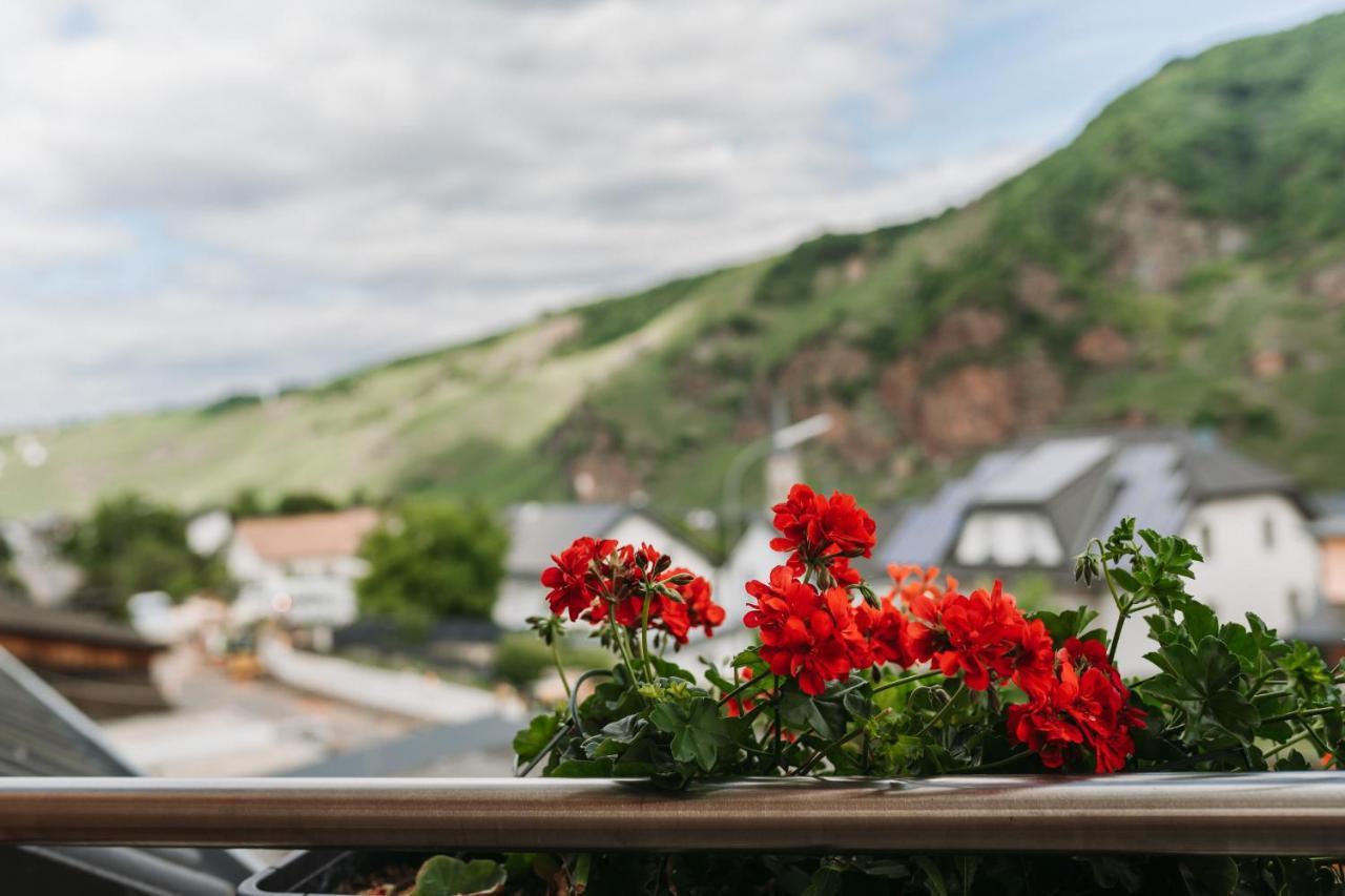 Wein- Und Gaestehaus Schwaab&Sohn Erden 外观 照片